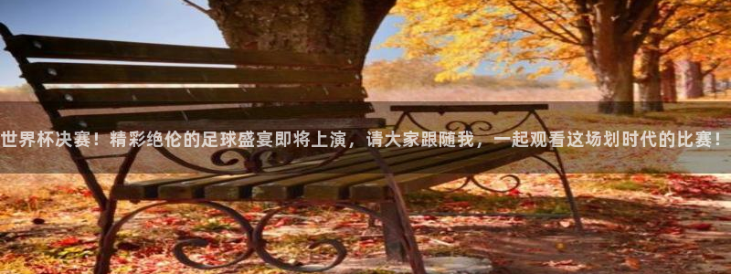 2026世界杯小组赛赛程时间表:世界杯决赛!精彩绝伦的足球盛宴即将上演,请大家跟随我,一起观看这场划时代的比赛!