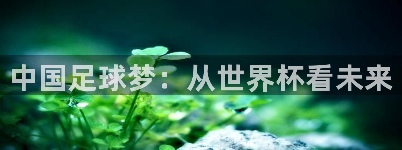 世界杯欧洲区赛程:中国足球梦:从世界杯看未来