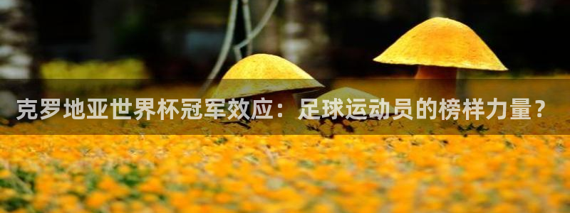 世界杯欧洲区赛程:克罗地亚世界杯冠军效应:足球运动员的榜样力量?