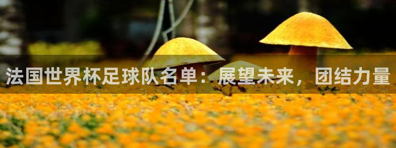 2026世界杯亚洲预选赛赛程:法国世界杯足球队名单:展望未来,团结力量