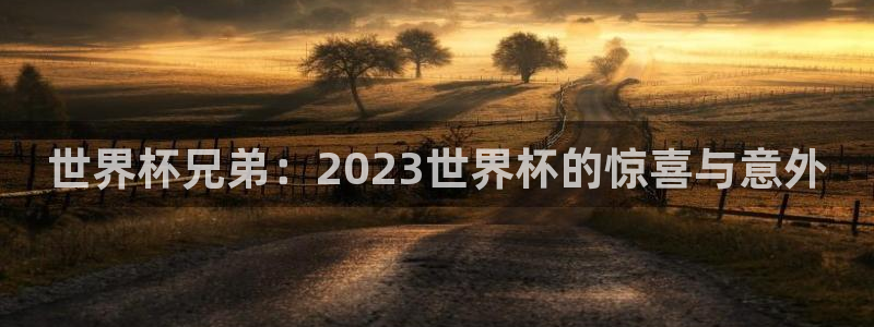 2026世预赛赛程表:世界杯兄弟:2023世界杯的惊喜与意外