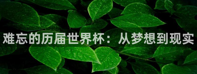 世界杯在线直播:难忘的历届世界杯:从梦想到现实