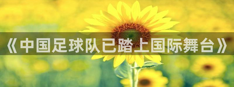 世界杯官网:《中国足球队已踏上国际舞台》
